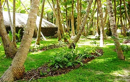 Motu Tane - Tropical Gardens.bmp